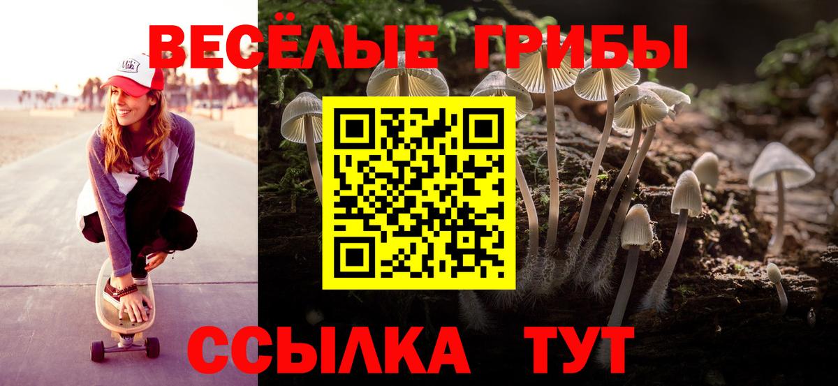 Галлюциногенные грибы Magic Shrooms  Вход с VPN  Галлюциногенные грибы Magic Shrooms  Курск 